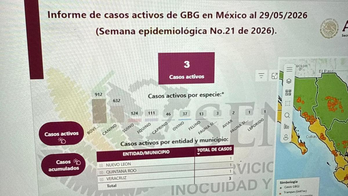 <![CDATA[Gusano barrenador: Nuevo León reporta primer caso en fauna silvestre]]>