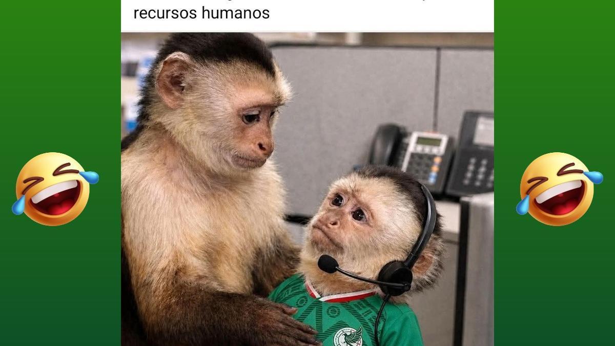 Los mejores memes rumbo al Mundial 2026… ¡Así se siente Méxi