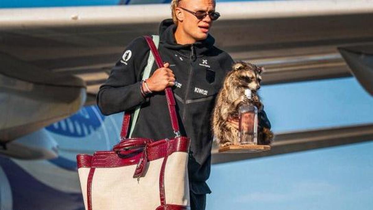 VIDEO: Haaland llega a Noruega acompañado de un mapache