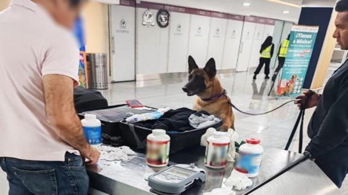 Semar y Aduanas frenan ingreso de 6 mil 900 pastillas con hidrocodona en el AICM
