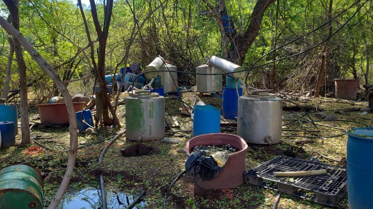 Desmantelan narcolaboratorio en Sinaloa y aseguran 1.4 toneladas de precursores químicos