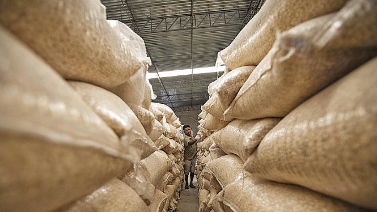 <![CDATA[Descartan industriales incremento en el precio de la tortilla]]>