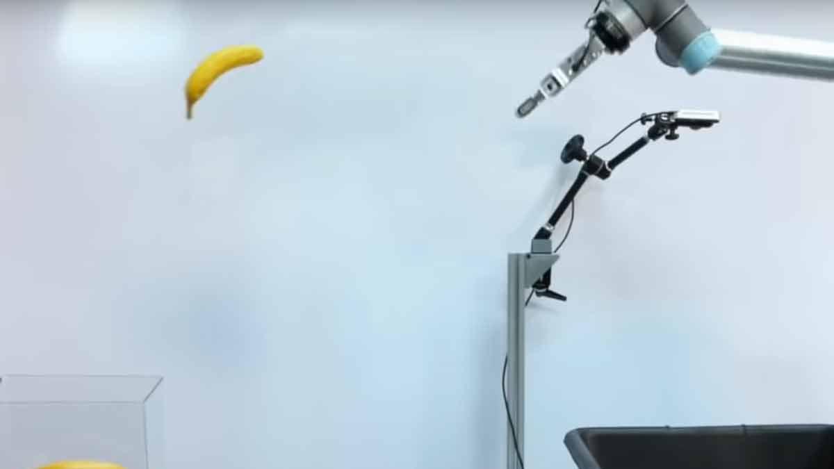 Crean robot que lanza objetos con más precisión que un humano