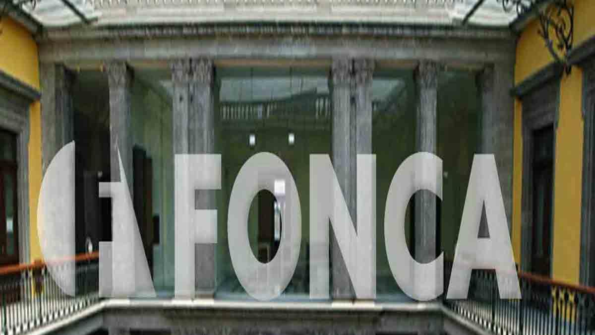 Fonca da a conocer apoyos para jóvenes creadores