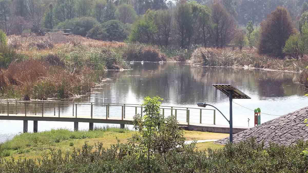Limpiarán ríos, presas y parque en Xochimilco