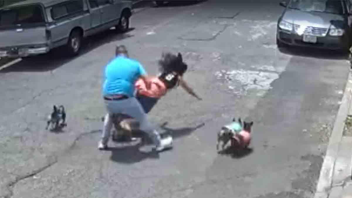 Detienen a ‘The King’ por agredir a mujer que paseaba a su perro