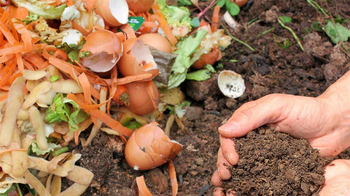 Así puedes hacer composta en botellas, ideal para espacios pequeños