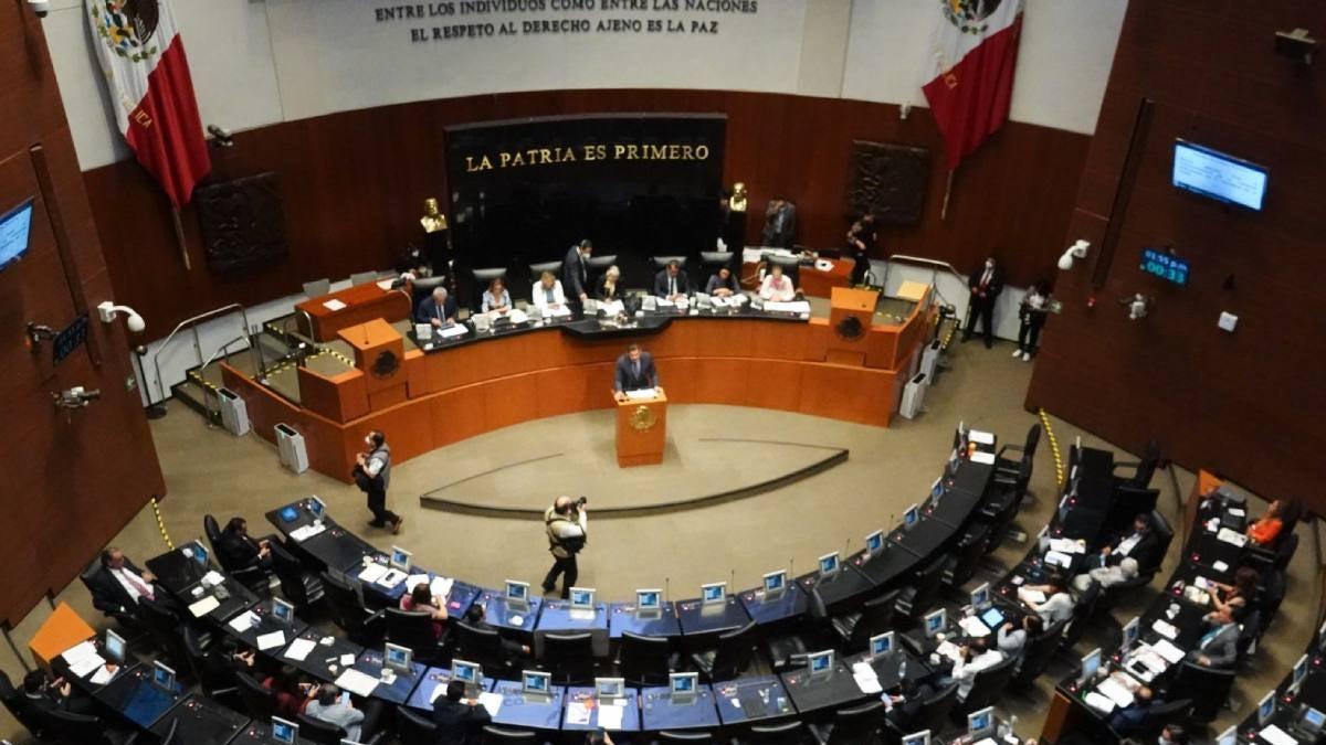 Senado reconocerá a exponentes de la gastronomía sustentable