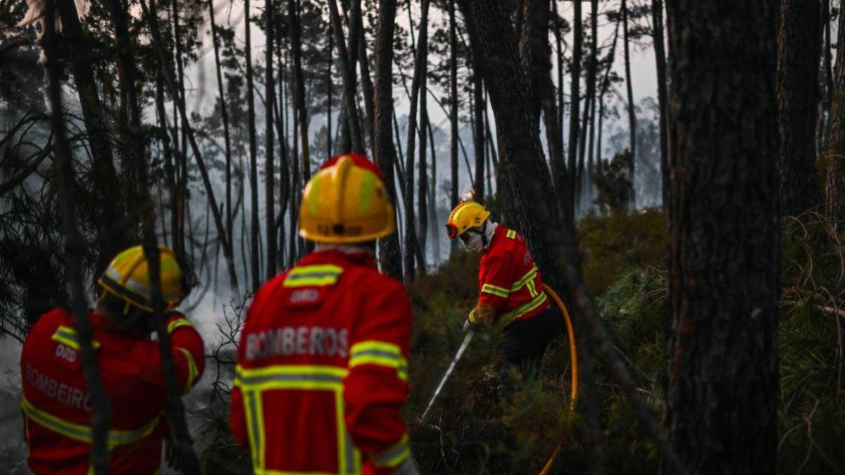 Portugal lucha contra incendios forestales en medio de ola de calor