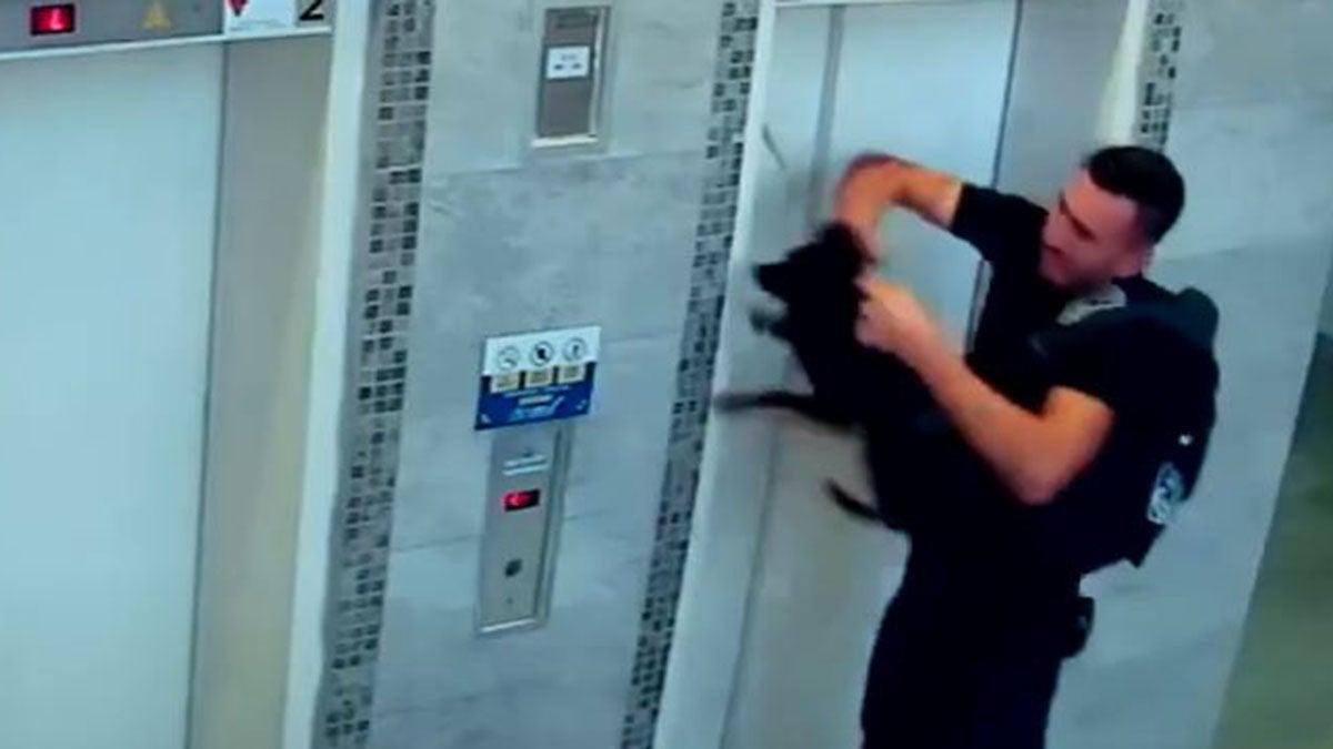 ¡De milagro! Perrito queda atorado en elevador; así el dramático rescate