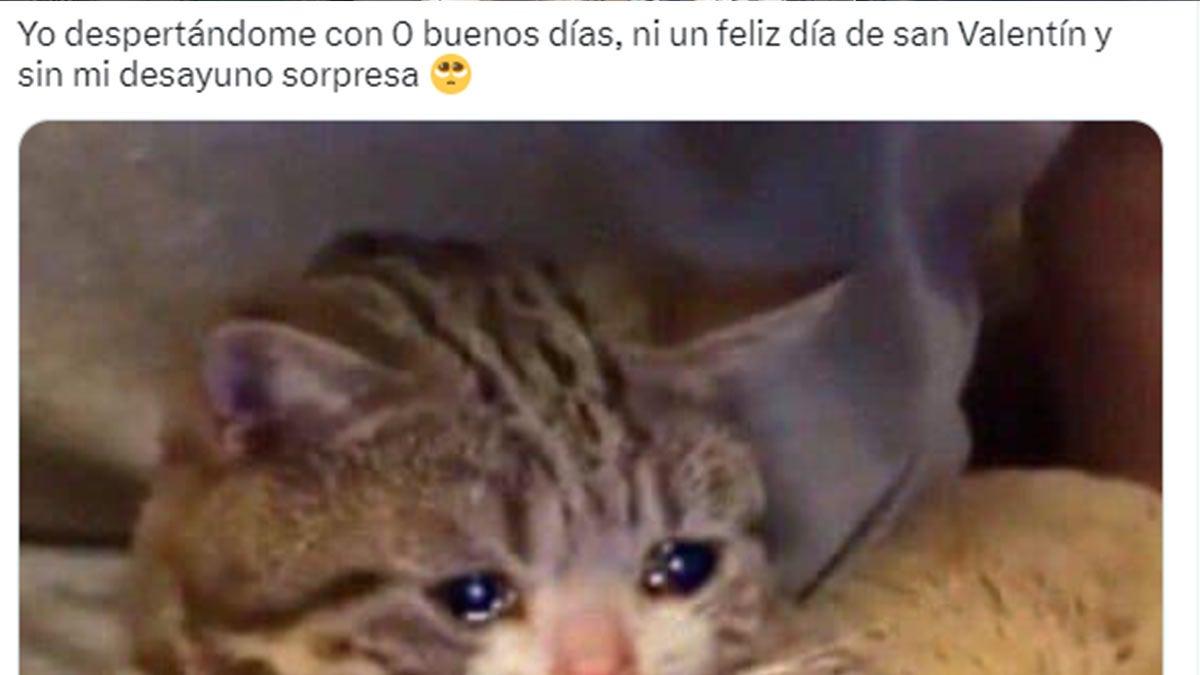 Para reírse un rato: Los mejores memes por San Valentín