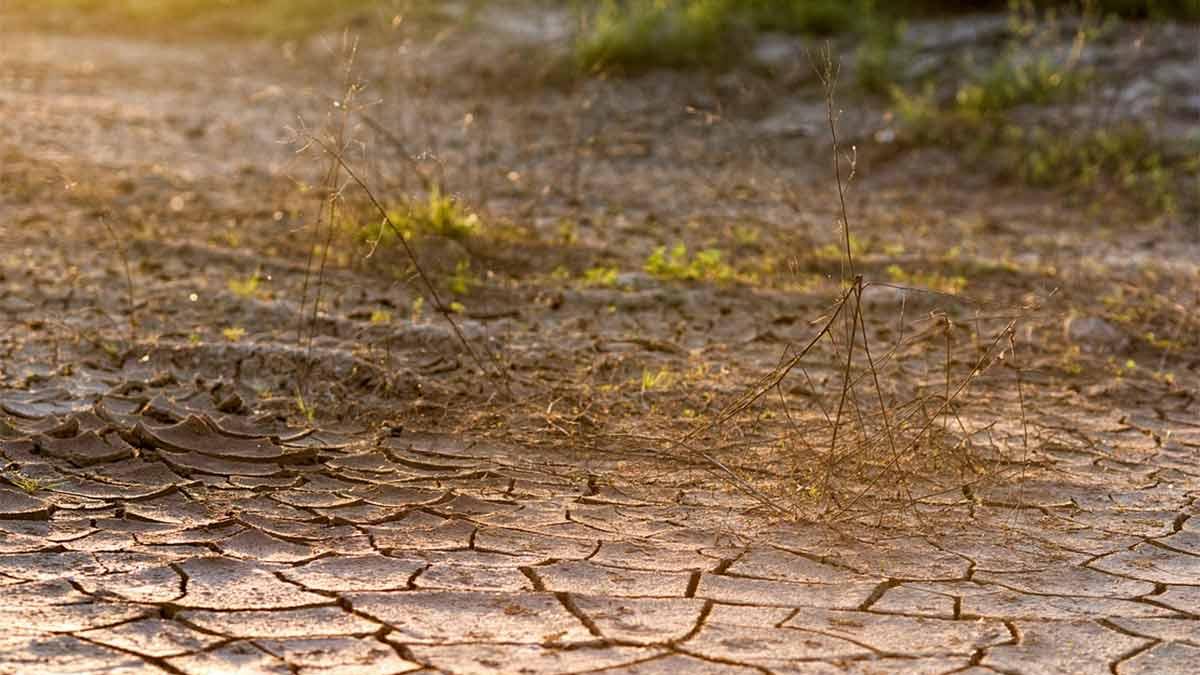 Cutzamala vive la peor crisis de su historia por severa sequía