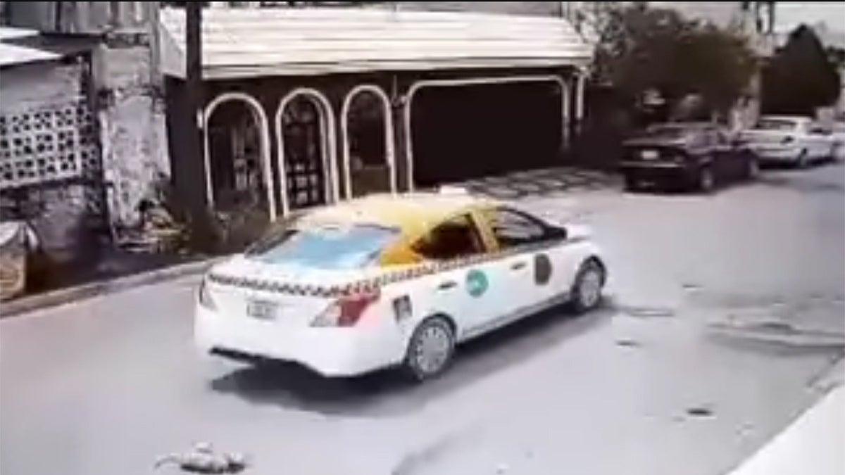 ¡Hijo de su…! Taxista atropella y mata a perrito callejero en Nuevo León