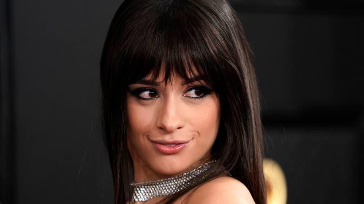¿Qué tienen en común Stevie Wonder, Camila Cabello, Katy Perry y Raphael?