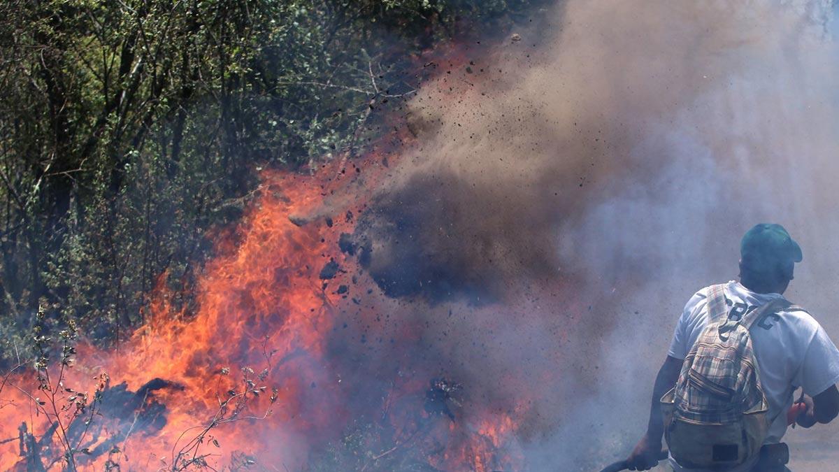 <![CDATA[Onda de calor: incendios forestales activos en México rompen la barrera de 50]]>