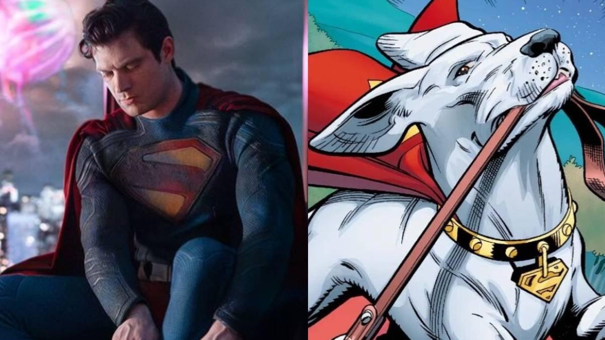 James Gunn revela foto de Krypto en Superman: Legacy; así luce