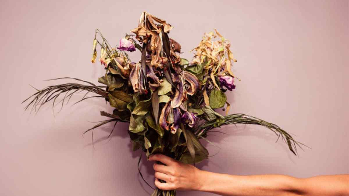 ¿Qué hacen con las flores muertas? Así es como se aprovechan todas las ...