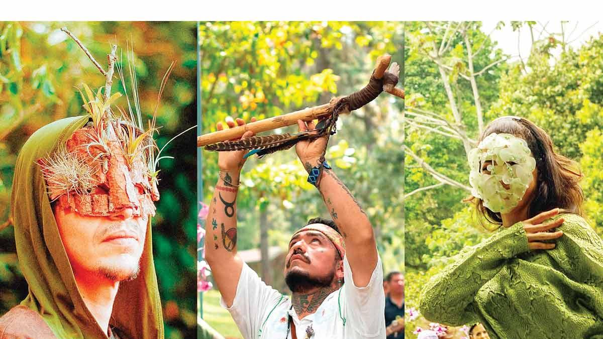 Festival Mixtli: Fusionan arte, cambio climático y ecología en Veracruz