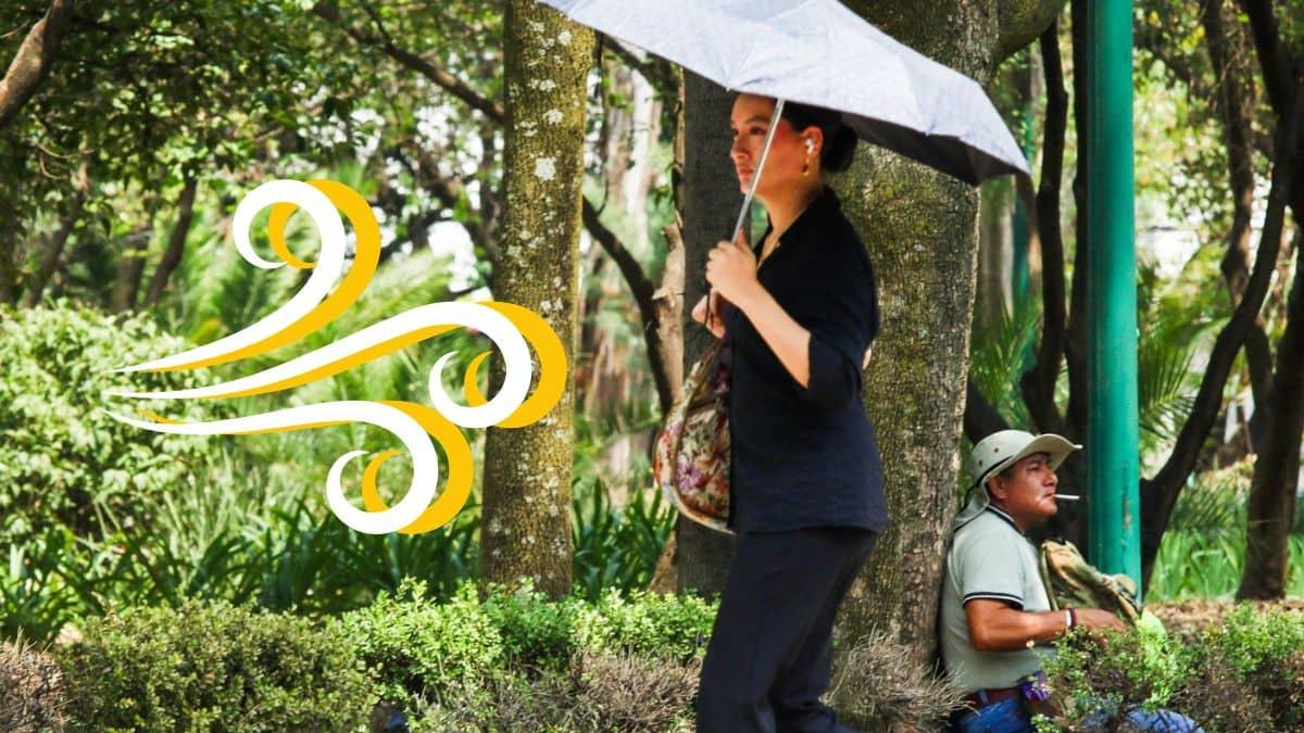 Ni salgas: Hay ALERTA amarilla en la CDMX por fuertes rachas de viento ...