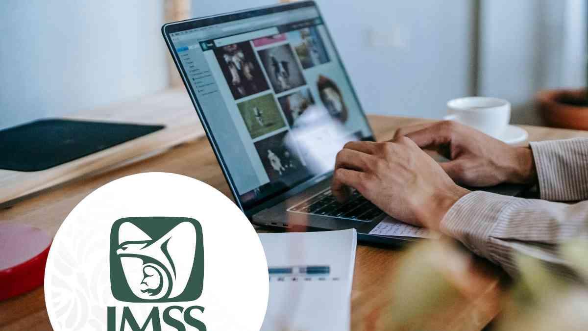 ¿Eres trabajador independiente? Así puedes cotizar en el IMSS y esto te ...