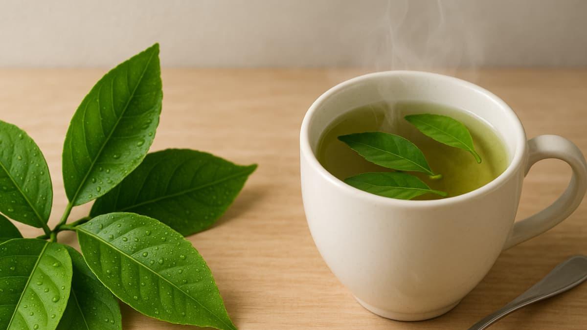 Propiedades curativas de las hojas del limón confirmadas por la ciencia