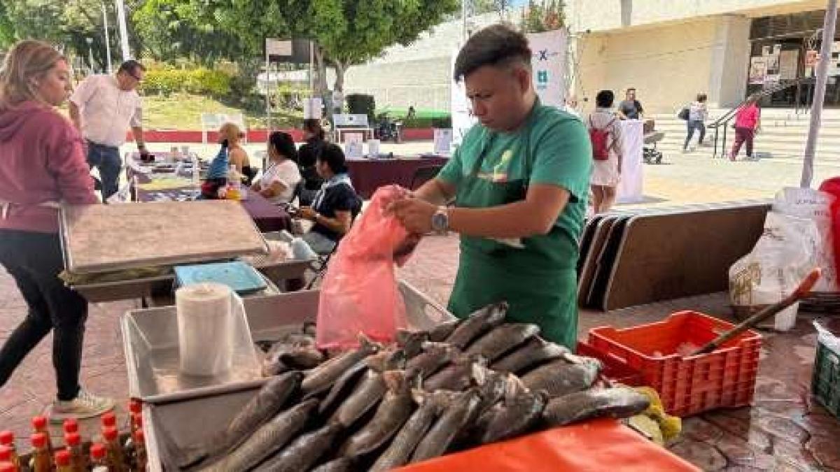 <![CDATA[Monitoreo de Profeco ubica precios del sierra entre 60 y 190 pesos por kilo]]>