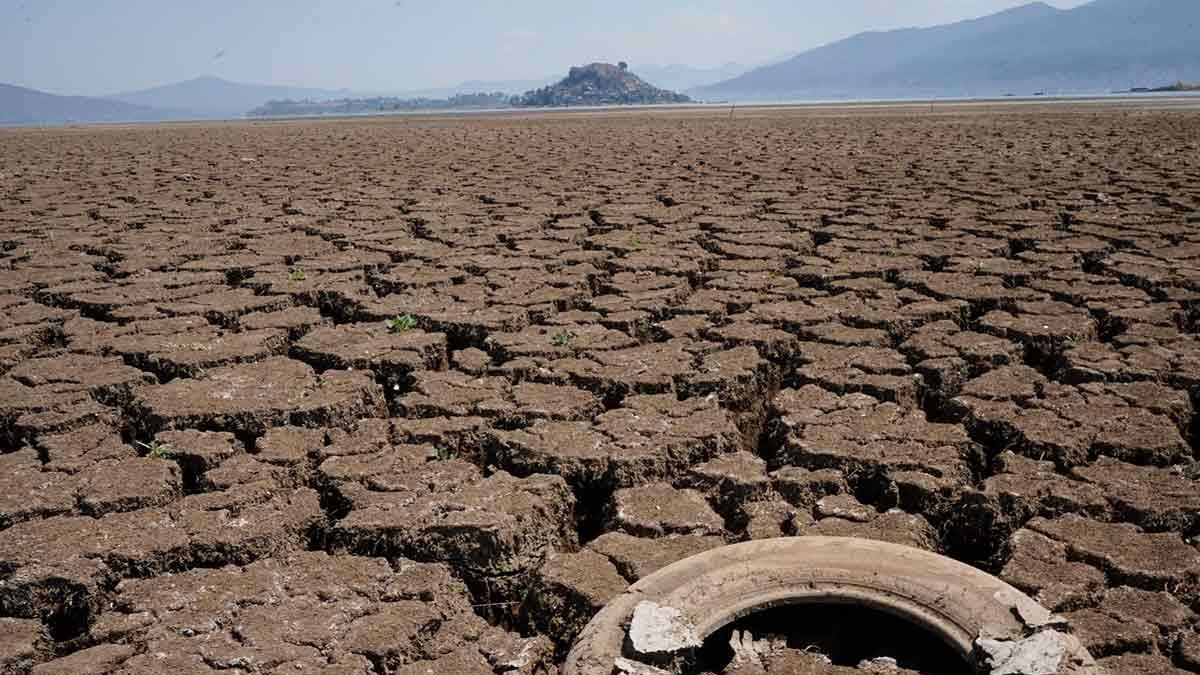 <![CDATA[Avanza sequía en México; se ubica en 15.4% del territorio nacional]]>