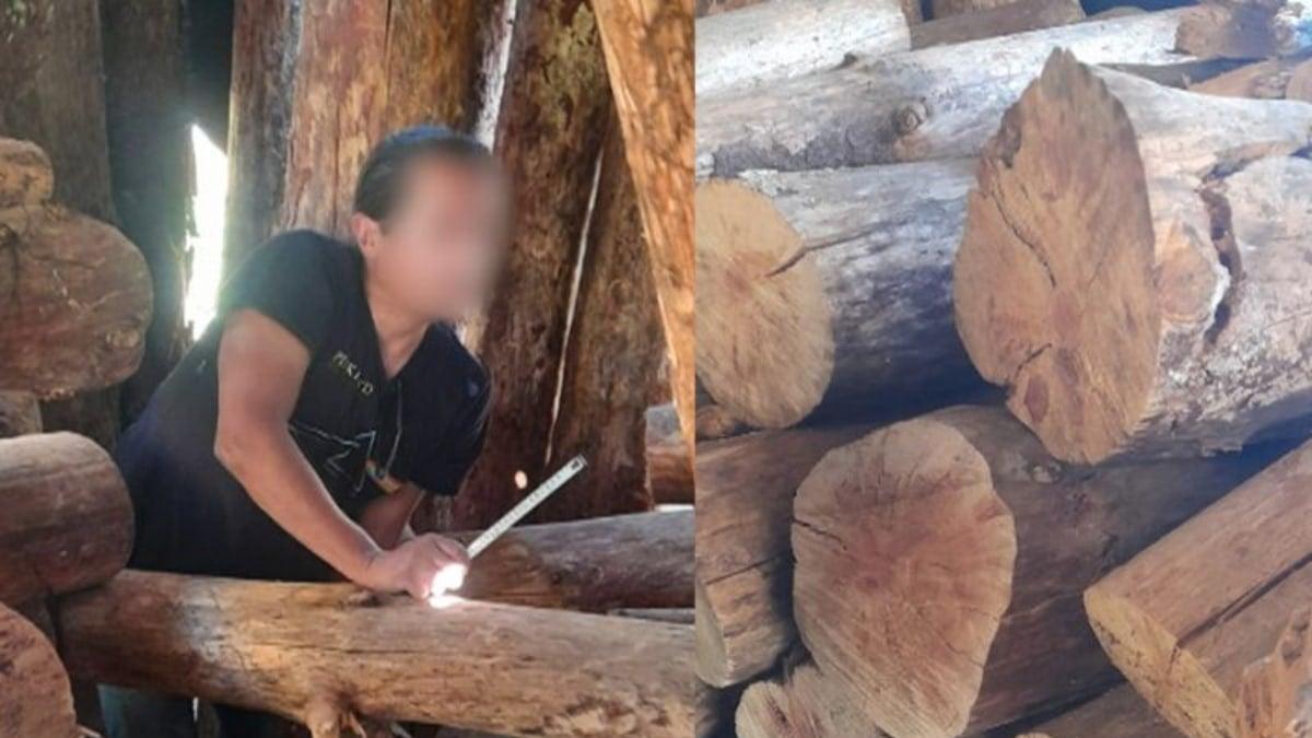 Decomisan madera talada ilegalmente en Valle de Bravo