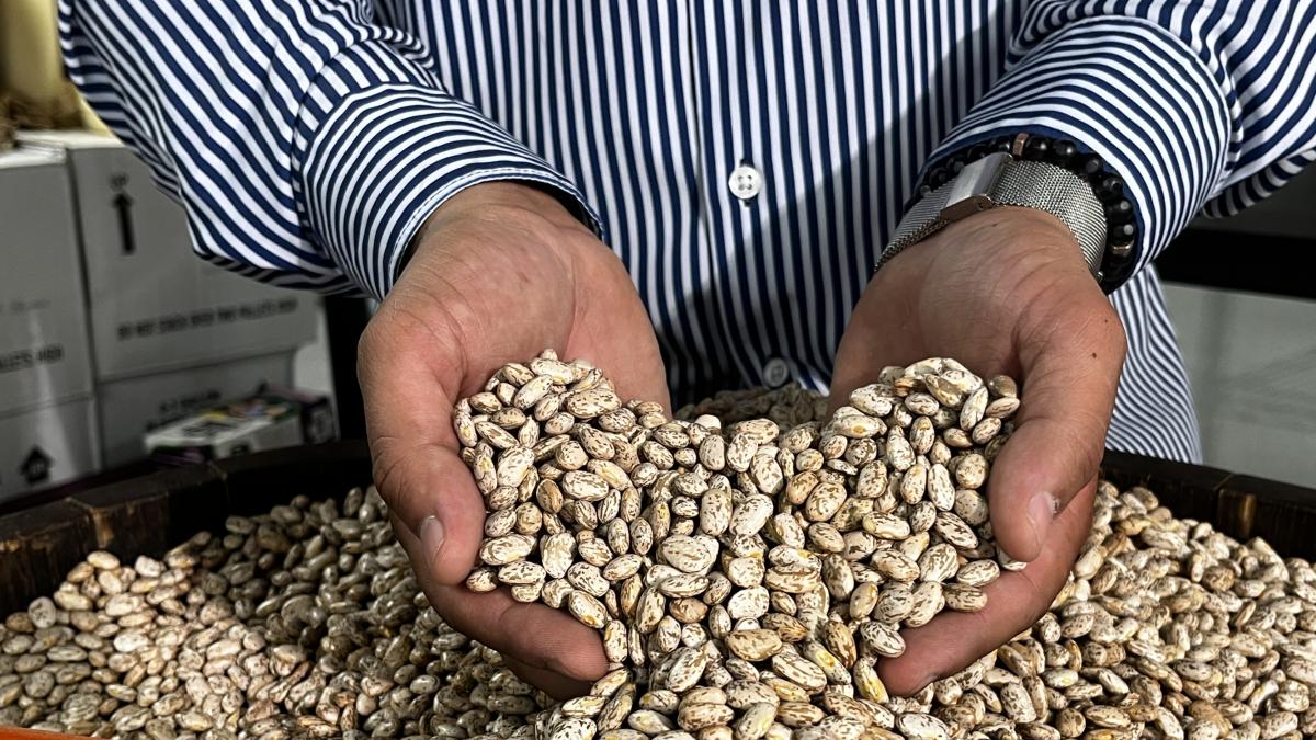 <![CDATA[Destaca Agricultura inversión histórica en acopio de frijol en Zacatecas]]>