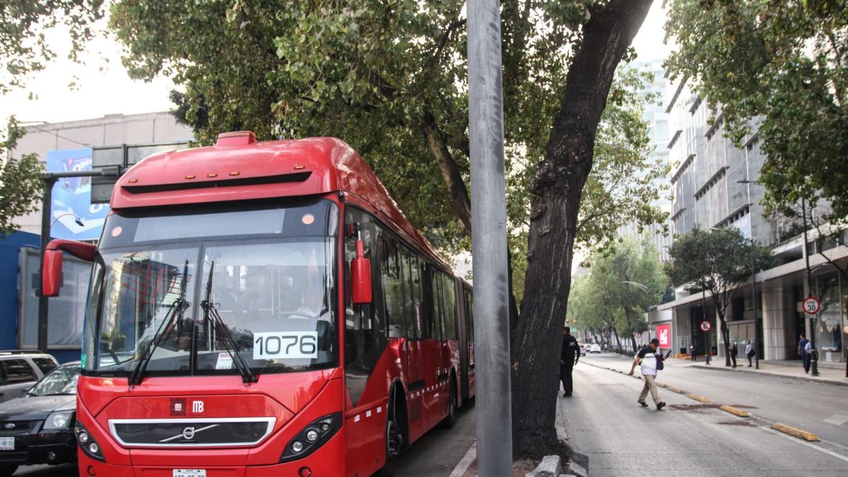 <![CDATA[Parabuses de L7 seguirán sin publicidad, asegura Metrobús CDMX]]>