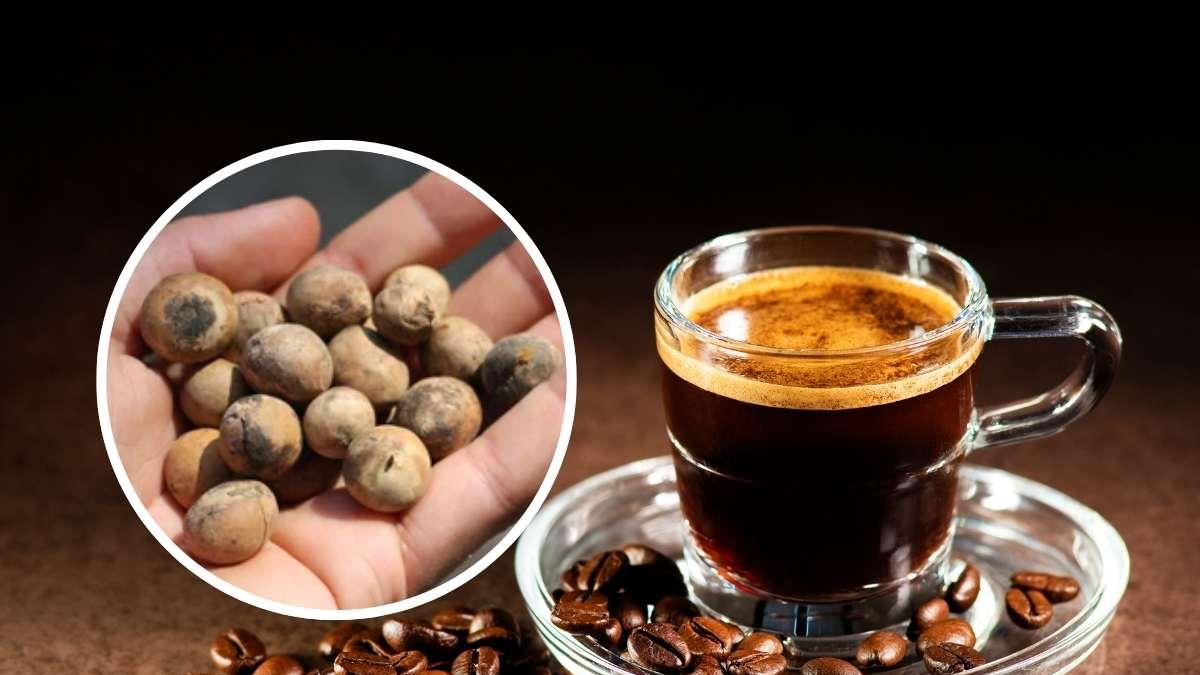 Qué es el café de capomo