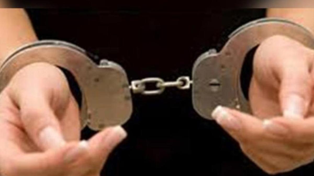 <![CDATA[Cae vecina de Polanco CDMX luego que su perro mordió a una persona]]>