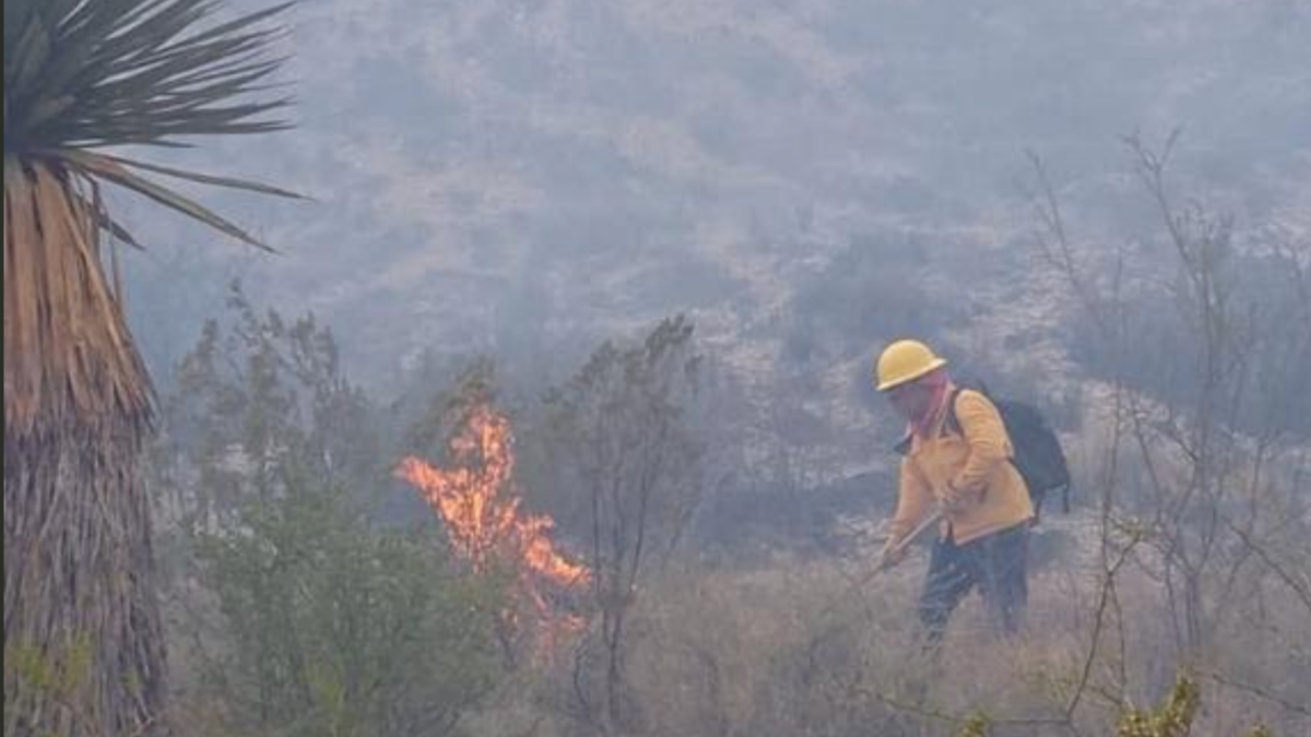 <![CDATA[Incendios forestales en la CDMX amenazan miles de hectáreas en temporada crítica]]>