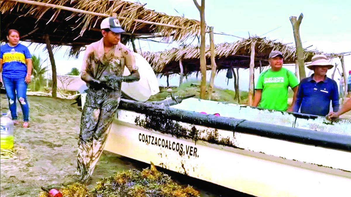 <![CDATA[Ambientalistas alertan por impacto económico del derrame petrolero en costas del Golfo]]>