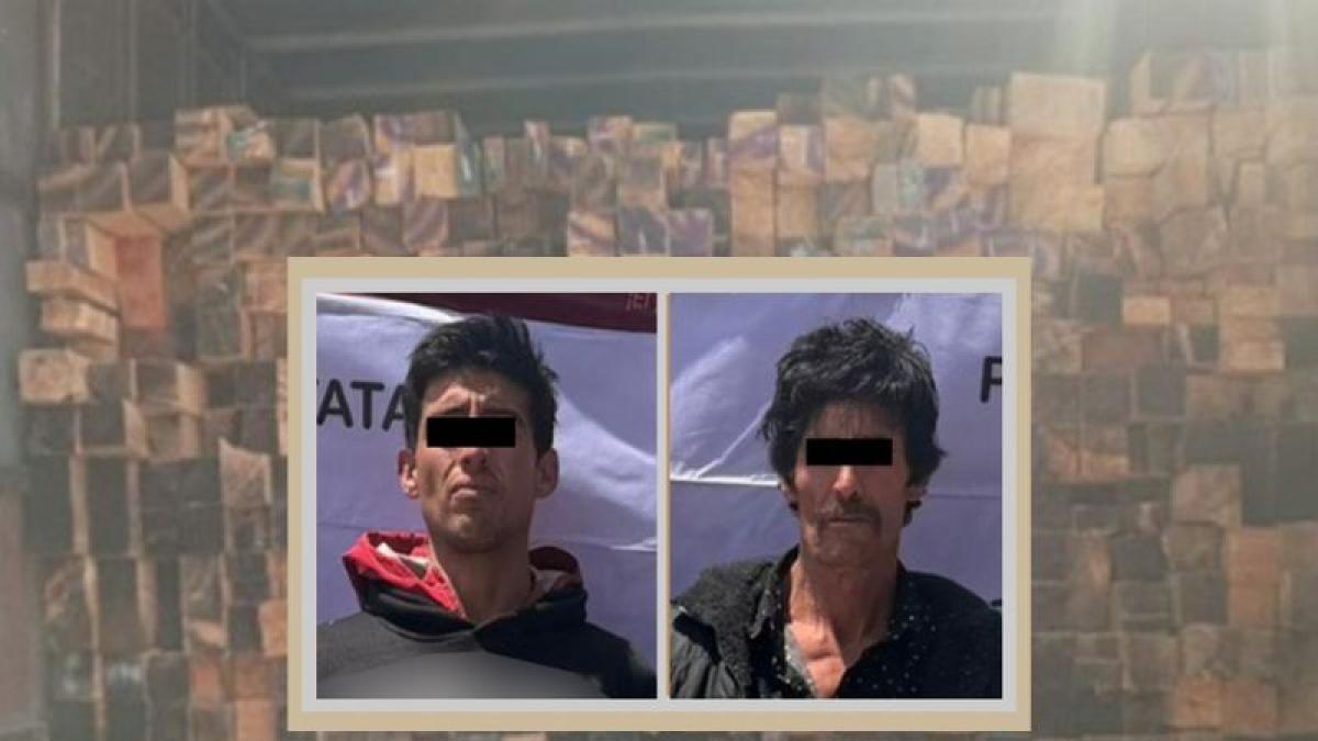 Detienen a dos hombres por transportar madera talada ilegalmente