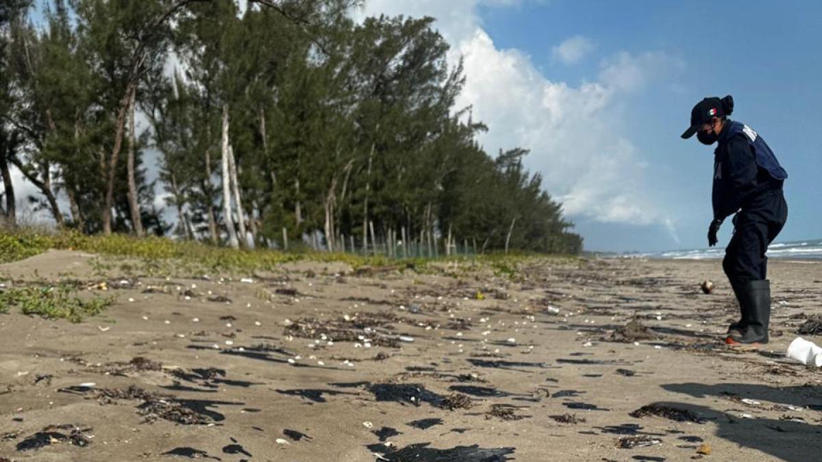 <![CDATA[Rocío Nahle niega muerte de animales por derrame de petróleo en costas de Veracruz]]>