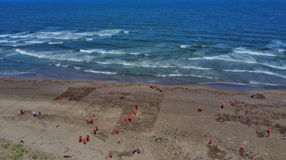 <![CDATA[En marcha operativo de saneamiento en el Golfo de México; van 128 toneladas de residuos recolectados]]>