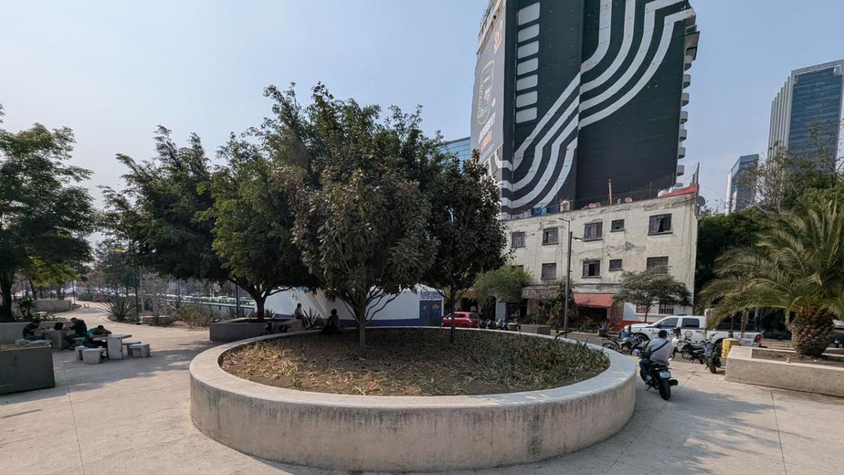 <![CDATA[La CDMX llega al Mundial 2026 con sus avenidas verdes en deterioro]]>