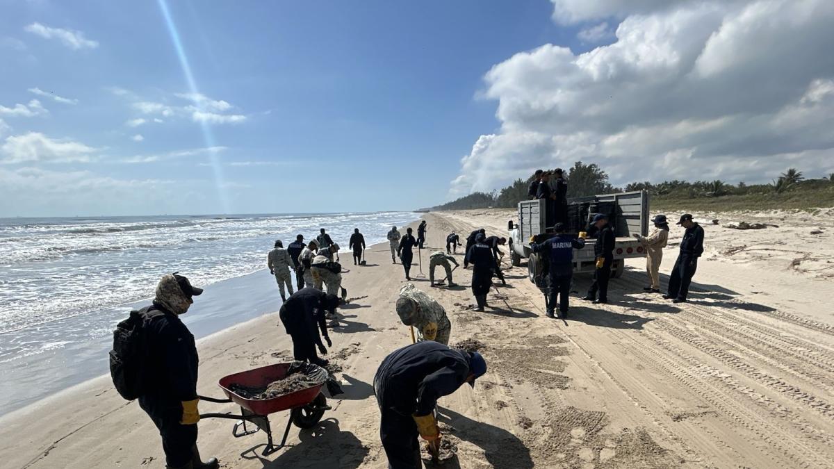 <![CDATA[Despliegan más de 2 mil 450 elementos por presencia de hidrocarburo en costas del Golfo]]>