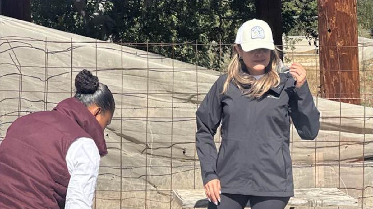 <![CDATA[Vinculan a proceso a la exdirectora del INVI en BCS por presunto desfalco]]>