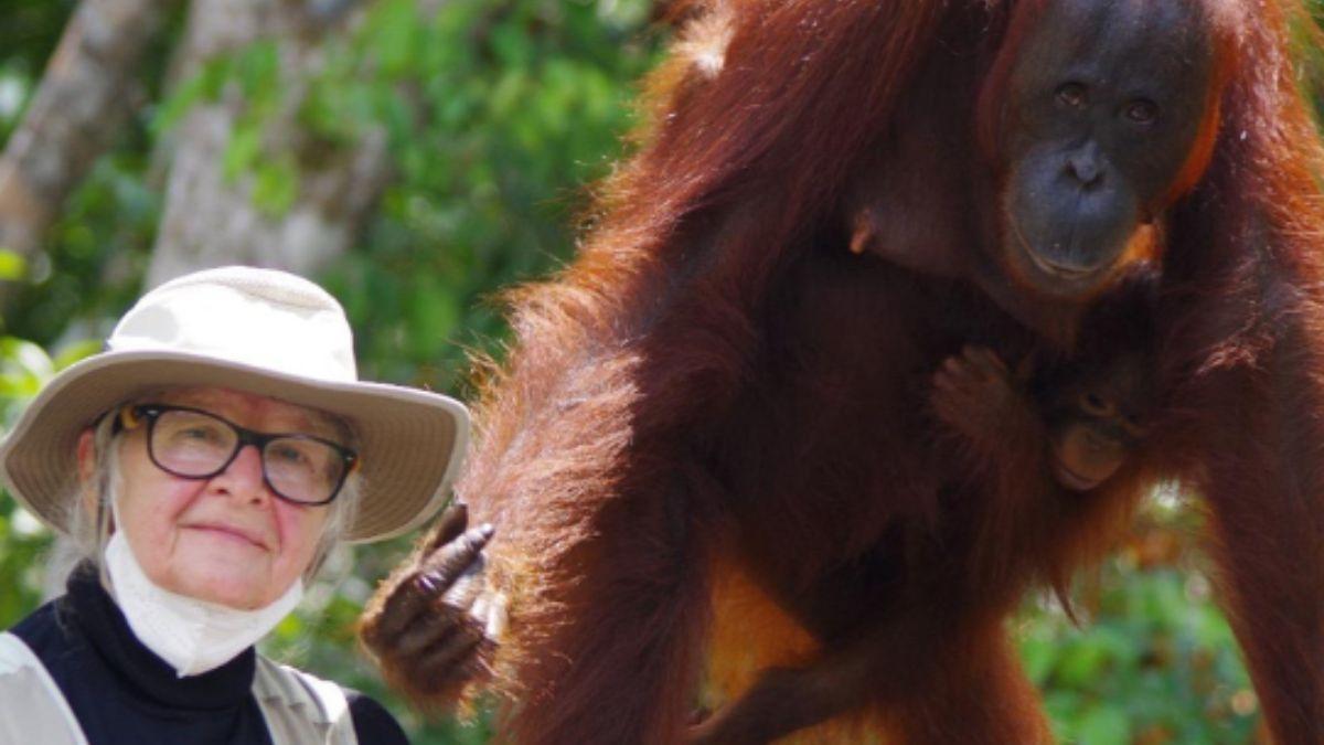 <![CDATA[Muere Birutė Galdikas, referente mundial en la investigación de los orangutanes]]>