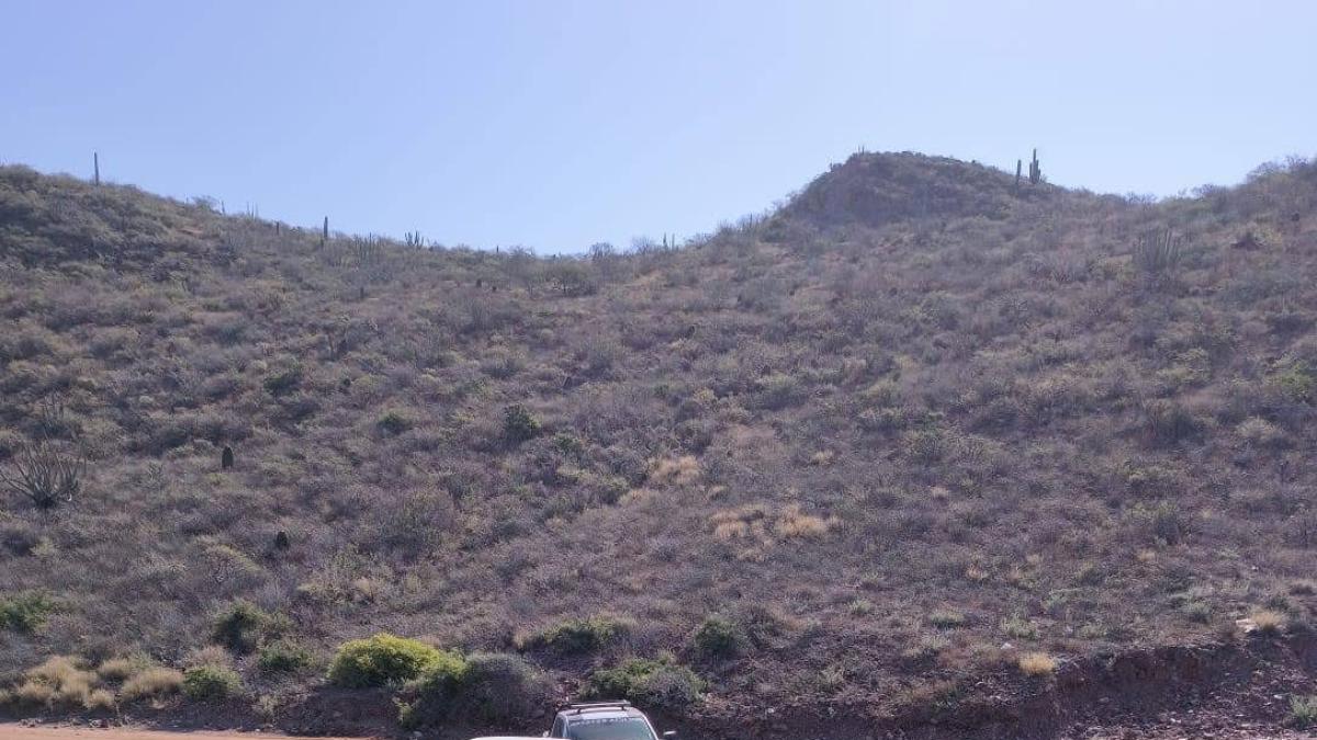 <![CDATA[Encuentran ocho cuerpos en fosas clandestinas en Guaymas, Sonora]]>