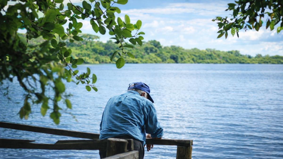 <![CDATA[Comunidades mayas de Hopelchén piden a SCJN entre al fondo del problema de plaguicidas]]>