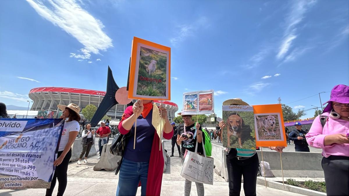 <![CDATA[Desde el Estadio Azteca, exigen que perros franciscanos regresen al refugio]]>