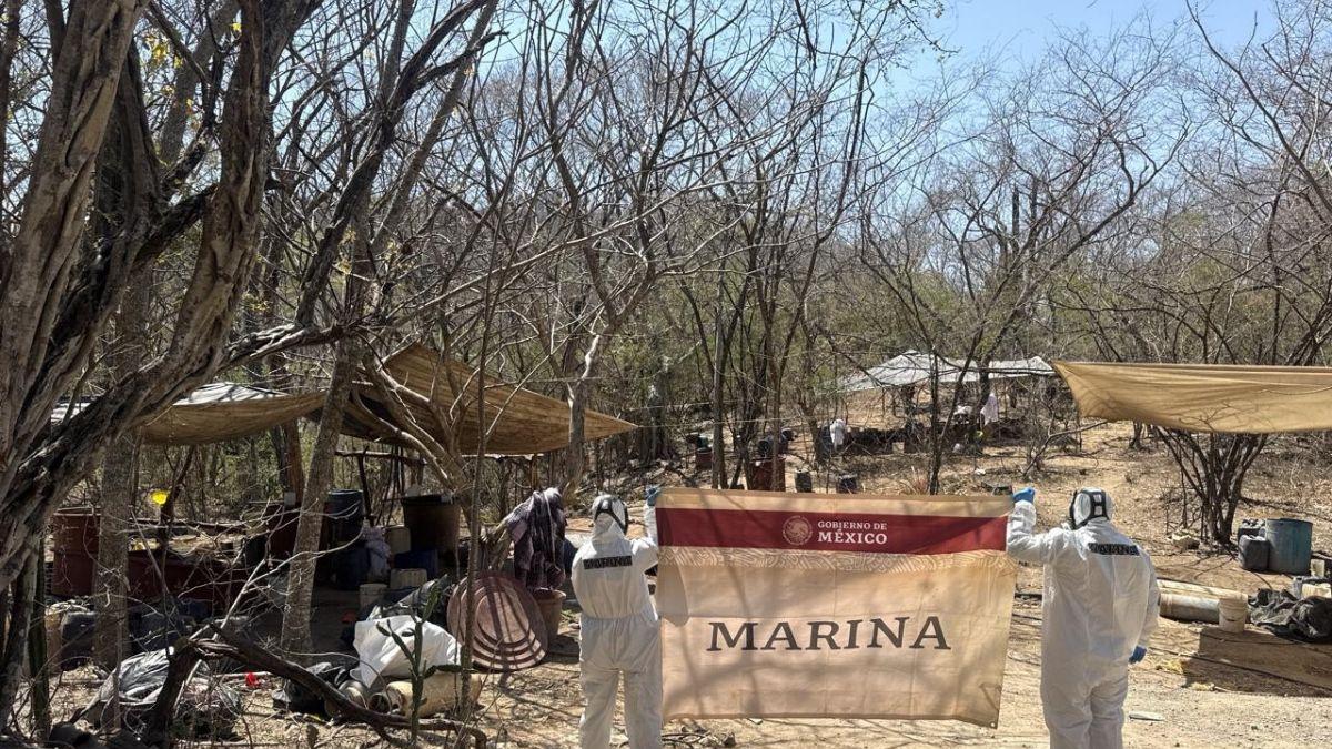 <![CDATA[La Marina destruye en Mocorito laboratorio y 600 kilogramos de metanfetamina]]>