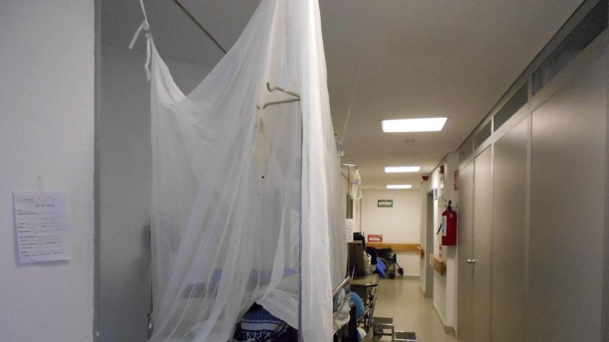 <![CDATA[Se registran 2 defunciones por Dengue; suman mil 241 contagios en el país]]>