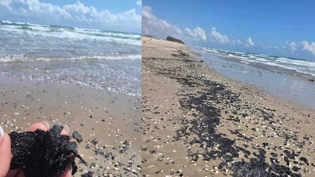 <![CDATA[Emergencia ambiental en playas de Tamaulipas; chapopote amenaza a tortuga en peligro de extinción]]>