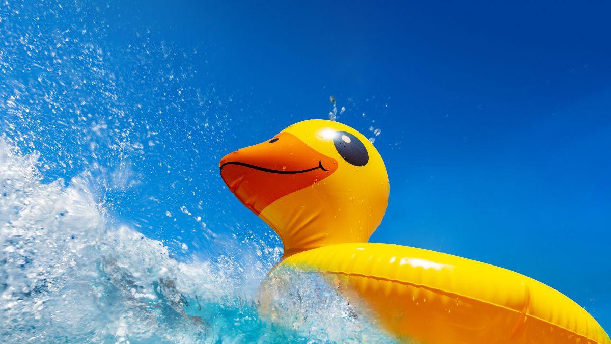 <![CDATA[¡De hot dogs a patos! Semana Santa 2026 dispara ventas de albercas inflables y salvavidas]]>