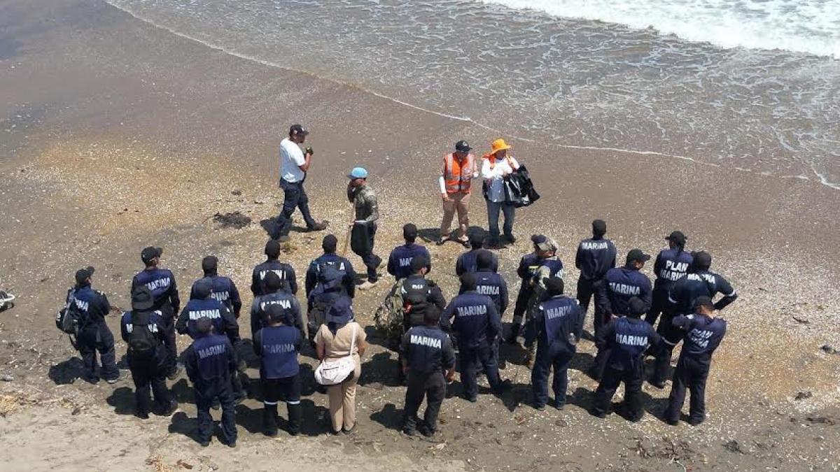 <![CDATA[Playas de Veracruz son aptas para vacacionar en Semana Santa: SEMARNAT]]>
