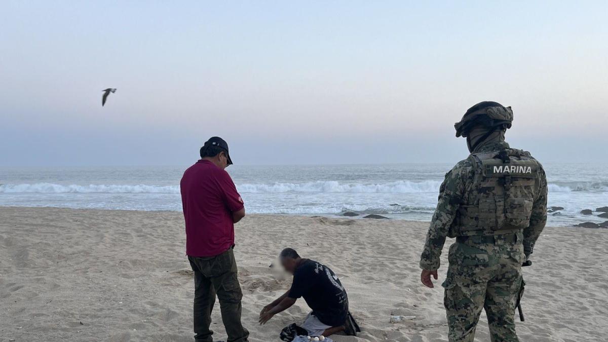 <![CDATA[Semar rescata 2 mil huevos de tortuga en Oaxaca]]>